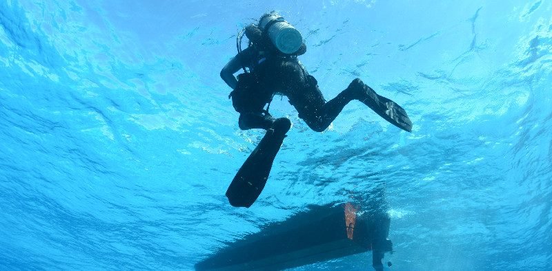 Scuba Diver